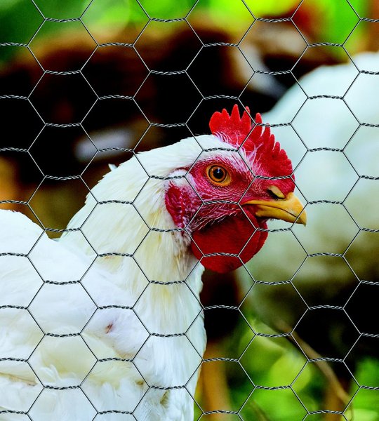 YardGard Poultry Netting Galvanized 20-Gauge 1" Mesh Poultry Fence
