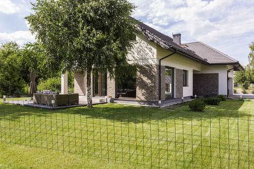 Show full view: YardGard Welded Wire 16-Gauge 2x3" Mesh Fence, Green, 24-in x 25-ft roll slide 5 of 8