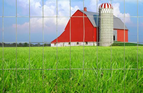 Show full view: YardGard Welded Wire Galvanized 16-Gauge 1x1" Mesh Fence, 24-in x 25-ft roll slide 7 of 8