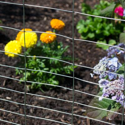 Show full view: YardGard Welded Wire Galvanized Rabbit Fence, 28-in x 50-ft roll slide 6 of 8