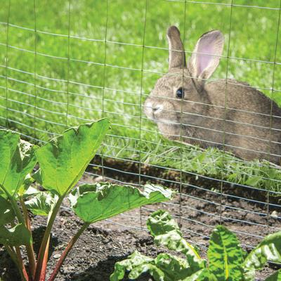 Show full view: YardGard Welded Wire Galvanized Rabbit Fence, 28-in x 50-ft roll slide 5 of 8
