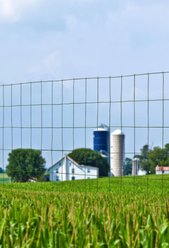 YardGard Welded Wire Vinyl 16-Gauge 2x4" Mesh Fence, Green, 36-in x 50-ft roll slide 2 of 8