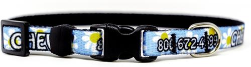 Show full view: Yellow Dog Design Daisy Polyester Personalized Standard Dog Collar, X-Small slide 3 of 4