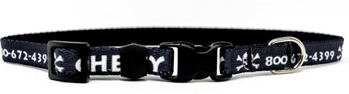 Show full view: Yellow Dog Design Skulls Polyester Personalized Standard Dog Collar, X-Small slide 3 of 4