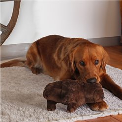 Yellowstone Bison Squeaky Plush Dog Toy, Brown, Large slide 2 of 6