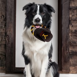 Yellowstone Cowboy Hat Tough Squeaky Plush Dog Tug Toy, Black slide 2 of 6