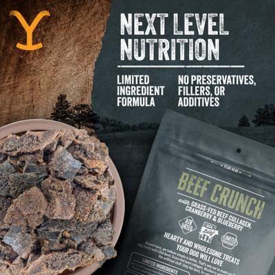 Show full view: Yellowstone Dutton Ranch Dog Treat Co. Beef Crunch Squares Crunchy Dog Treats, 8-oz bag slide 6 of 10