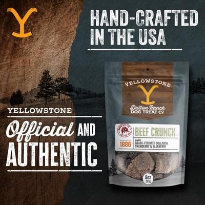 Show full view: Yellowstone Dutton Ranch Dog Treat Co. Beef Crunch Squares Crunchy Dog Treats, 8-oz bag slide 7 of 10