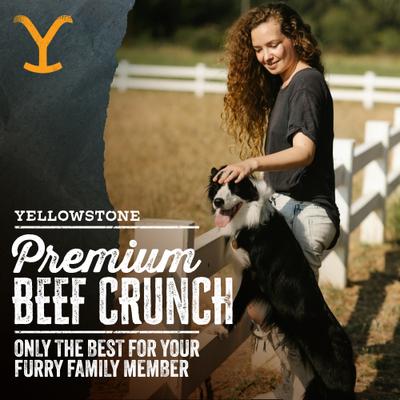 Show full view: Yellowstone Dutton Ranch Dog Treat Co. Beef Crunch Squares Crunchy Dog Treats, 8-oz bag slide 4 of 10