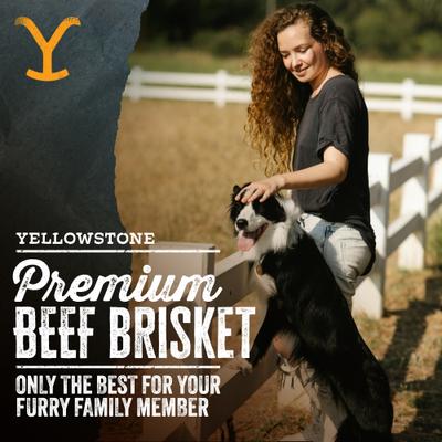 Show full view: Yellowstone Dutton Ranch Dog Treat Co. Cowboy Cuts Brisket Crunchy Dog Treats, 8-oz bag slide 4 of 10