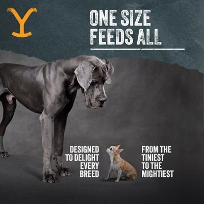 Show full view: Yellowstone Dutton Ranch Dog Treat Co. Cowboy Cuts Ribeye Crunchy Dog Treats, 4-oz bag slide 9 of 10