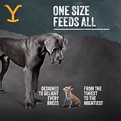 Yellowstone Dutton Ranch Dog Treat Co. Organ Cuts Beef Liver Crunchy Dog Treats, 4-oz bag slide 2 of 8