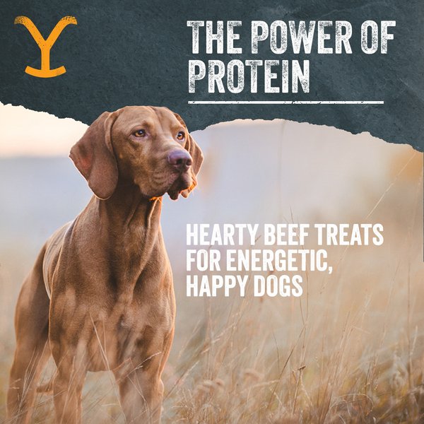 Yellowstone Dutton Ranch Dog Treat Co. Ranch Cuts Beef Strips Soft & Chewy Dog Treats