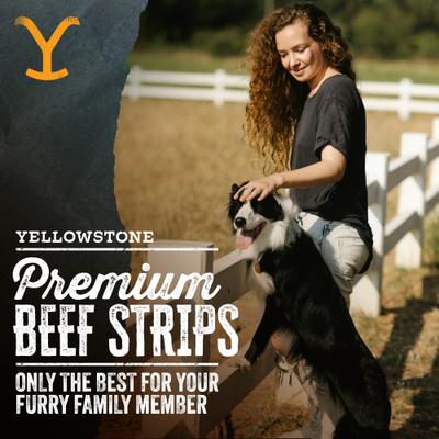 Show full view: Yellowstone Dutton Ranch Dog Treat Co. Ranch Cuts Beef Strips Soft & Chewy Dog Treats, 8-oz bag slide 4 of 10