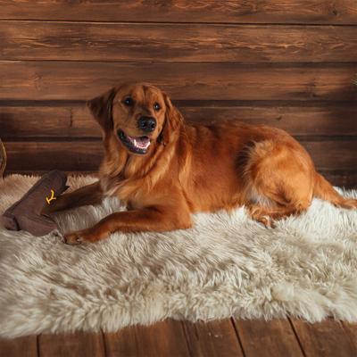 Show full view: Yellowstone Jumbo Latex Squeaky Cowboy Boot Dog Toy slide 4 of 7