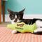 Show in main carousel: Yeowww! Catnip Fish Cat Toy, Green slide 4 of 6