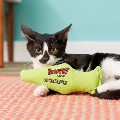 Show full view: Yeowww! Catnip Fish Cat Toy, Green slide 4 of 6