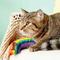 Show in main carousel: Yeowww! Catnip Yellow Banana + Catnip Rainbow Cat Toy slide 6 of 7