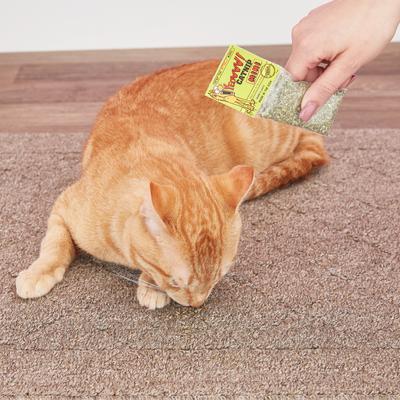 Show full view: Yeowww! Organic Mini Catnip, 0.28-oz bundle  slide 3 of 5