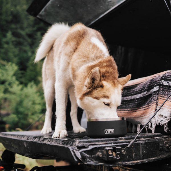 YETI Boomer Dog Bowl 4カップ　ブラック YETI Boomer 4-Cup Dog Bowl in Black