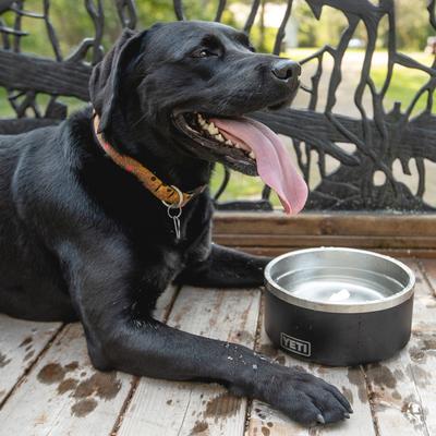 Show full view: YETI Boomer Dog Bowl, Black, 8-cup slide 5 of 8