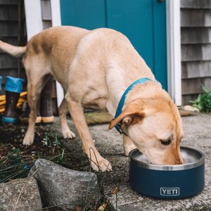 YETI Boomer Dog Bowl, Navy, 8-cup