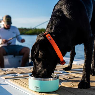 Show full view: YETI Boomer Dog Bowl, Seafoam, 4-cup slide 4 of 7