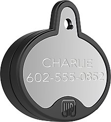 YIP Smart Tag Dog ID Tag - Works with Samsung Galaxy Phones, Oval, Silver