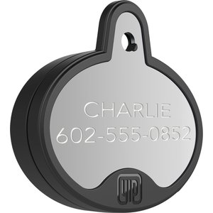 YIP Smart Tag Dog ID Tag - Works with Samsung Galaxy Phones, Oval, Silver