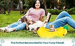 YML Banana Cat & Dog Bed, Yellow slide 2 of 5