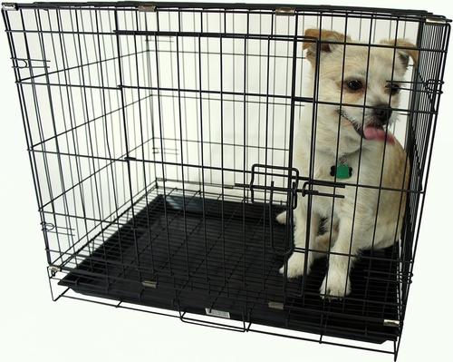 Show full view: YML Collapsible Metal Small Pet Crate with Bottom Gate, Black, 24-in slide 2 of 5