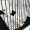 Show in main carousel: YML Villa Top Bird Cage with Perch, Black slide 3 of 4