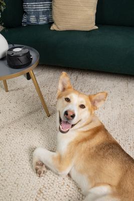 Show full view: Yogasleep Dohm Classic Sound Machine, Black slide 6 of 8