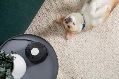 Show full view: Yogasleep Dohm Classic Sound Machine, Black slide 7 of 8