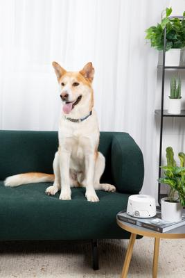 Show full view: Yogasleep Dohm Classic Sound Machine, White slide 5 of 6