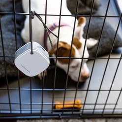 Yogasleep Pawzz Travel Dog Sound Machine, White slide 2 of 6