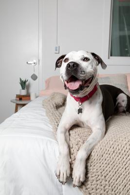 Show full view: Yogasleep Travelcube Sound Machine slide 5 of 7