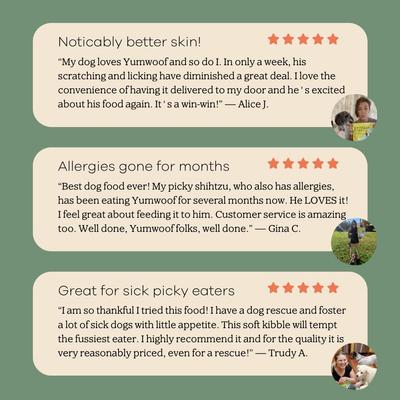 Show full view: Yumwoof Natural Pet Food Perfect Kibble Gut Health Beef Pot Roast Air-Dried Dog Food, 14-oz bag slide 4 of 9