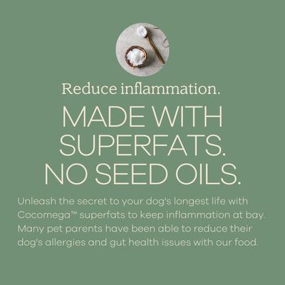 Show full view: Yumwoof Natural Pet Food Perfect Kibble Gut Health Coconut Chicken Air-Dried Dog Food, 14-oz bag slide 6 of 9