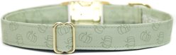 Zaley Designs Pumpkins Cotton Adjustable Dog Collar, Sage Green, Large: 15 to 25-in neck, 1-in wide slide 1 of 5