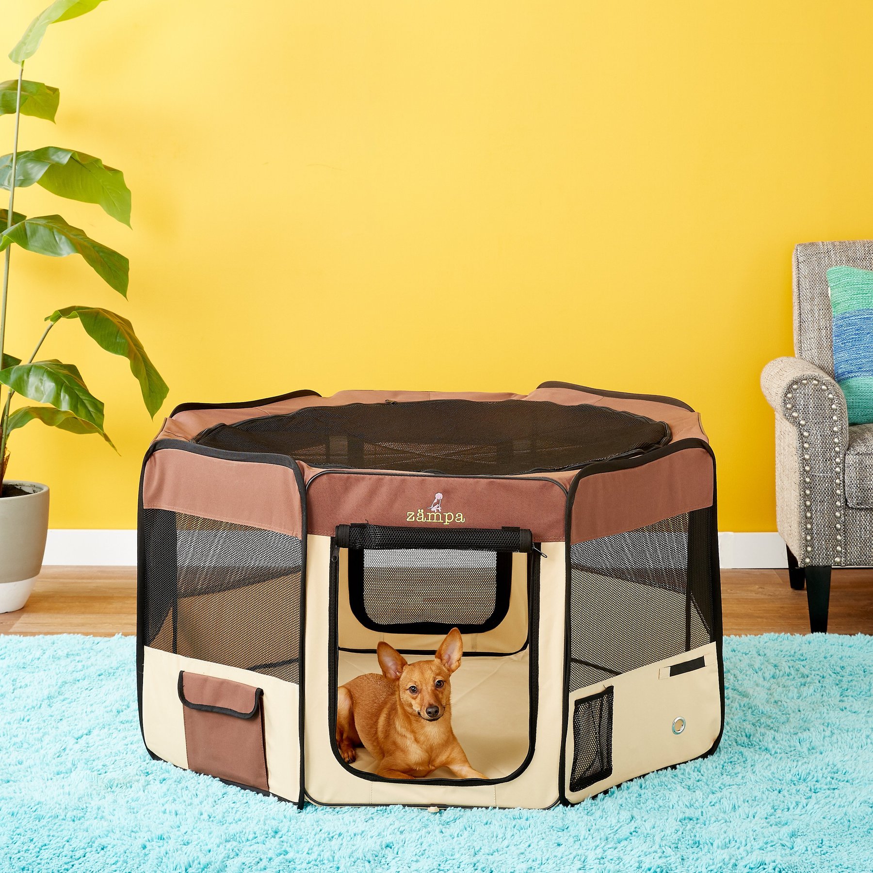 Zampa Pet Folding Soft-sided Dog & Cat Playpen, Brown, Medium