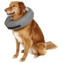 ZenPet ZenCollar Inflatable Recovery Dog & Cat Collar, Large