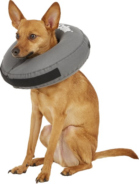 Show full view: ZenPet ZenCollar Inflatable Recovery Dog & Cat Collar, Medium slide 1 of 9