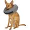 Show in main carousel: ZenPet ZenCollar Inflatable Recovery Dog & Cat Collar, Medium slide 1 of 10