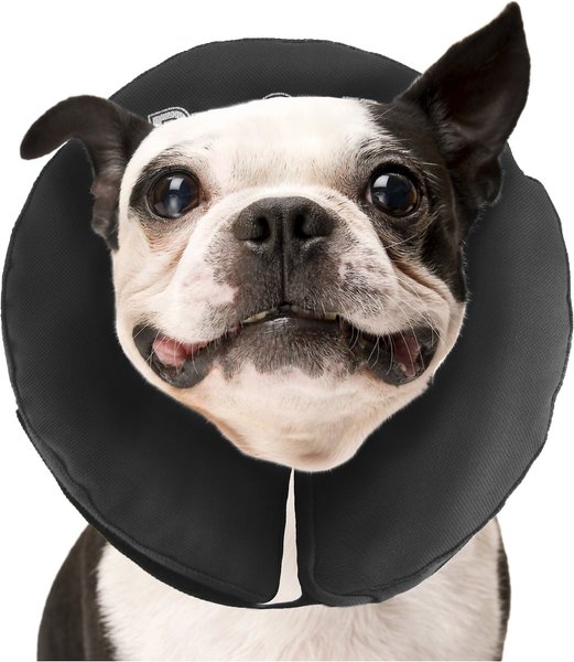 Show full view: ZenPet ZenCollar Inflatable Recovery Dog & Cat Collar, Medium slide 6 of 9