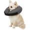 Show in main carousel: ZenPet ZenCollar Inflatable Recovery Dog & Cat Collar, Small slide 1 of 10