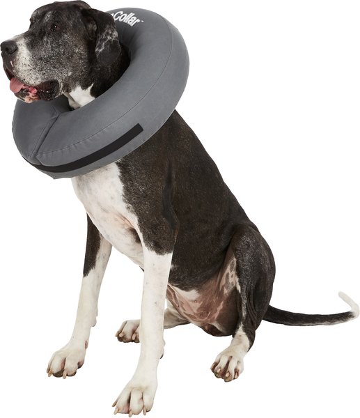 ZENPET ZenCollar Inflatable Recovery Dog & Cat Collar, XX