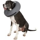 ZenPet ZenCollar Inflatable Recovery Dog & Cat Collar, XX-Large