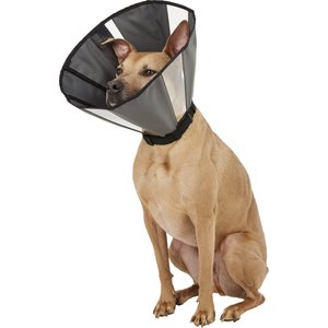 ZenPet ZenCone Soft Recovery Dog & Cat Collar, Large