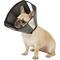 Show in main carousel: ZenPet ZenCone Soft Recovery Dog & Cat Collar, Medium slide 1 of 9
